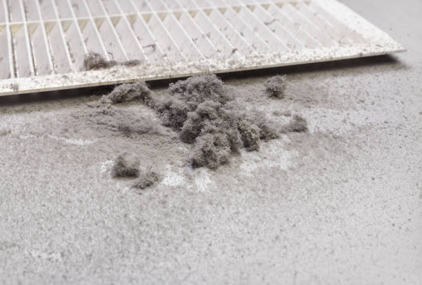 Best HVAC Air Duct Cleaning  in Frewsburg, NY