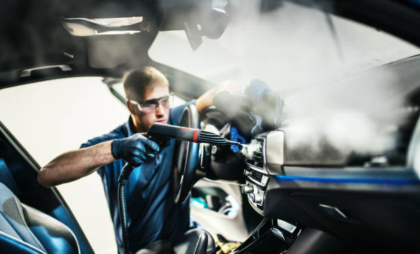 Best Air Duct Mold Removal  in Frewsburg, NY