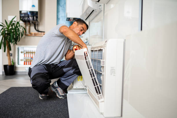 Best Home Air Vent Cleaning  in Frewsburg, NY