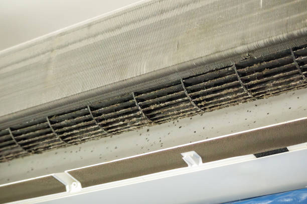 Best Best Air Duct Cleaning Near Me  in Frewsburg, NY